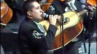 MARIACHI VARGAS DE TECALITLAN EL PASTOR [upl. by Akaya]