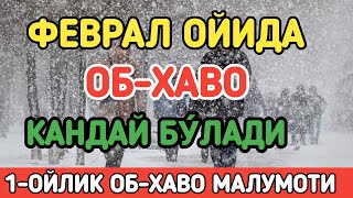 УЗБЕКИСТОНДА ФЕВРАЛ ОЙИДА ОБХАВО КАНДАЙ БУ́ЛАДИ  FEVRAL OYIDA OBHAVO QANDAY BOLADI [upl. by Rock]