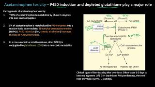 Acetaminophen or Tylenol Toxicity  Lect 19  Pharmacology [upl. by Lister]