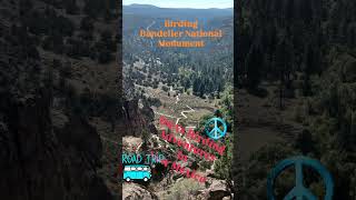 Birding Bandelier National Monument FULL Video linked birding [upl. by Braswell]