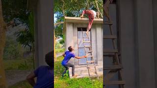 Brother try to get down from above realfools shorts funny comedy [upl. by Roanne663]