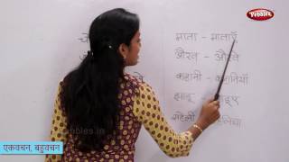 Singular and Plural Words in Hindi  एकवचन बहुवचन  Change the Form of Hindi Words [upl. by Briant297]