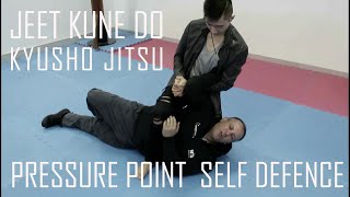 HD Jeet Kune Do amp Pressure Point  Kyusho Jitsu Dim Mak Ri Chu Martial Arts Institute [upl. by Anecuza]