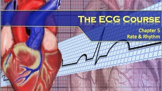 The ECG Course  Rate amp Rhythm [upl. by Nnylram323]