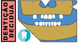 Erupção da dentição decídua [upl. by Ilrahs]