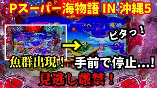 【海物語ファン必見⭐️】激レアの法則崩れ発生⁉️魚群なのに手前でハズレ⁉️『Pスーパー海物語 IN 沖縄5』ぱちぱちTV【999】沖海5第474話 海物語パチンコ [upl. by Amber]