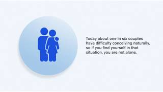 What is IVF All the way from egg collection to embryo transfer and freezing [upl. by Ashlie430]