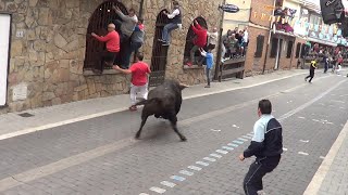 Moralzarzal 2015 Encierro con los toros de la novillada [upl. by Missi]