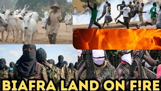 Breaking 🔥🔥 Fulani herdsmen set Fre on The Biafra land biafra [upl. by Anawit374]