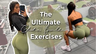 How I ACTUALLY Built My Glutes  NO BS Approach  Full Leg Workout [upl. by Eiggam971]