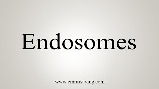 How To Say Endosomes [upl. by Aicxela]