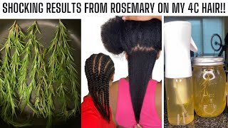 HOW TO MAKE amp USE ROSEMARY WATER FOR THICKER LONGER 4C HAIR DIY MASSIVE HAIR GROWTH SPRAY [upl. by Heydon]