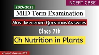 Class 7 Science MidTerm Exam Prep  Nutrition in Plants  Important Questions amp Answers [upl. by Eked778]