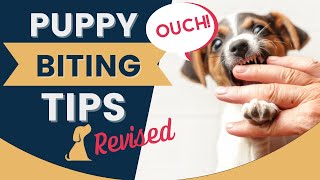 Puppy Biting Tips for New Puppy Owners [upl. by Nimajaneb]