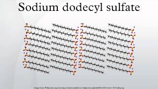 Sodium dodecyl sulfate [upl. by Morrissey848]