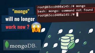 Solution  bash mongo command not found in docker [upl. by Eri]