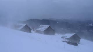 Fuerte tormenta de nieve  Tormenta de invierno en las montañas de Ucrania  Viento aullador [upl. by Nadnerb]