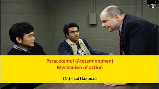 Paracetamol Acetaminophen Mechanism of Action [upl. by Eelsha]