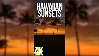 Amazing Ocean Views at the Sunset for Vertical Screens  4K Stunning Scenes of Oahu Island Hawaii [upl. by Arjan628]