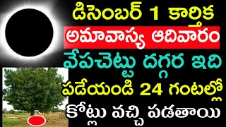 డిసెంబర్ 1 కార్తీక అమావాస్య ఆదివారం వేప చెట్టు దగ్గర ఇది పడేయండి 24 గంటల్లో కోట్లు వచ్చి పడతాయి [upl. by Johnsson41]