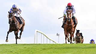 BANBRIDGE gets up on the line in a fantastic finish to Punchestowns William Hill Champion Chase [upl. by Eldora]