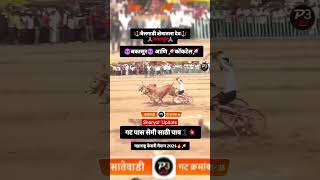 Bakasur naad ekach bail sharyat bailgadasharyat shorts bakasur [upl. by Norita]