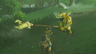 Link Gives A Gold Bokoblin his Last Meal  Zelda Breath of the Wild [upl. by Neenaej632]