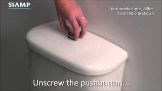 Flushing Valves How to Unscrew Button [upl. by Asit425]