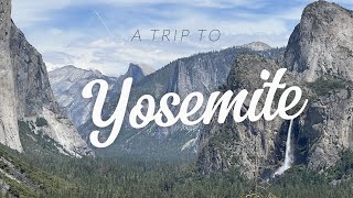 Yosemite in Summer  One day trip 20 July2024 [upl. by Esinek655]