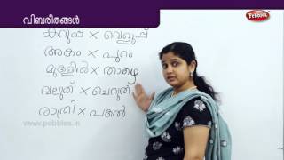 Learn opposite in Malayalam  Preschool Educational Videos  Kids Learning [upl. by Ellatsyrc]