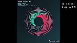 PREMIER Zankee Gulati  Mind Opener Analog Jungs Remix MEANWHILE RECORDINGS [upl. by Nyladam]