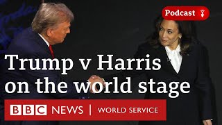 How the US election will shape Americas global role  The Global Story podcast BBC World Service [upl. by Roche983]