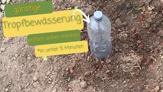 Tropfbewässerung mit PETFlaschen I Wasser und Zeit sparen beim gießen [upl. by Odidnac579]