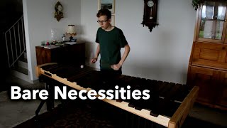 Bare Necessities  Probiers mal mit Gemütlichkeit Marimba Cover [upl. by Eixam385]