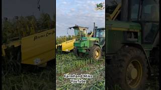 Picking Sweet Corn near Columbiana Ohio [upl. by Lihka531]