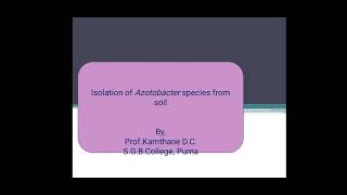 Isolation of Azotobacter species from soil [upl. by Eeclehc962]