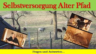 Fragen und Antworten [upl. by Kenti]