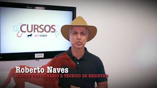 CURSO PROVA FUNCIONAL MARCHADOR IDEAL  ROBERTO NAVES  NET SABER [upl. by Annoval]