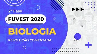 Resolução Comentada  FUVEST 2020  2ª fase  2º dia  Biologia [upl. by Eimirej]