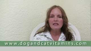 Thyroid Problems in Dogs [upl. by Aita328]