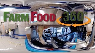 FarmFood360°  Voluntary Milking System Dairy Farm [upl. by Llennhoj291]