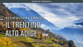 I vigneti di montagna del TrentinoAlto Adige  Tannico [upl. by Macswan]