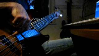 Crash Into Me  Dave Matthews Band bass cover [upl. by Stedman918]