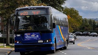 MTA Bus  Onboard Prevost X345 On The QM20 Bay Terrance  Midtown Via Clearview [upl. by Coriss]