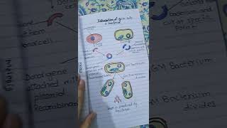 😯Cell division class 9th diagram easy drawing education art [upl. by Enineg]