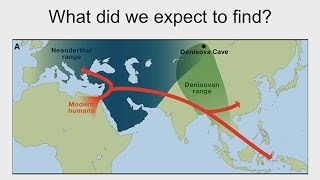 CARTA DNA – Neandertal and Denisovan Genomes Neandertal Genes in Humans Neandertal Interbreeding [upl. by Yetty]