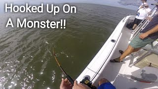 Inshore Fishing Edisto Island SC Hooked Up On Something HUGE [upl. by Colet]