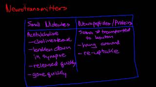 Introduction to Neurotransmitters [upl. by Suzann]