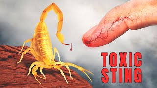 STUNG by the DEADLIEST Scorpion in America [upl. by Shaeffer]