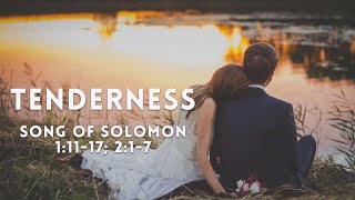 Sunday July 7 2024 Tenderness Song of Solomon 11117 217 [upl. by Ahsenev]